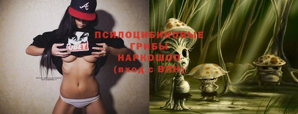 хмурый Белоозёрский