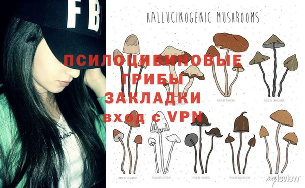 хмурый Белоозёрский