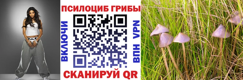 Псилоцибиновые грибы ЛСД  кракен как зайти  Горячий Ключ 